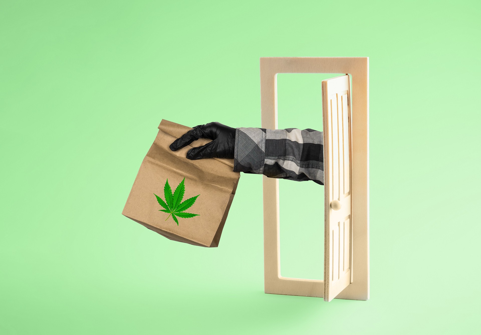 Concept of marijuana delivery. Courier's hand with  package of medical marijuana is stretched out of open door on  green background. Minimal art poster.